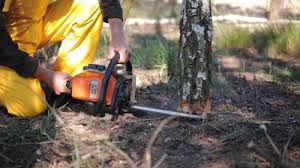  Theodore, AL Tree Services Pros