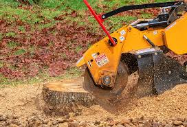 Best Tree Maintenance Programs  in Theodore, AL
