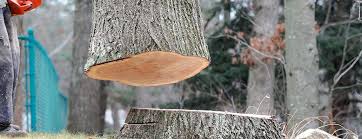 Best Firewood Processing and Delivery  in Theodore, AL