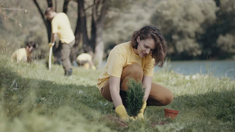 Best Artificial Turf Installation  in Theodore, AL