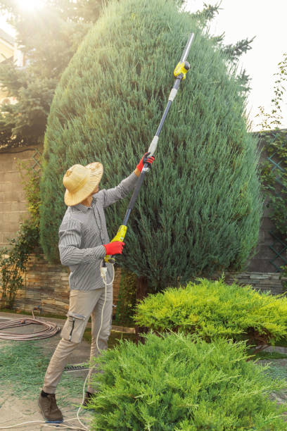 Best Commercial Tree Services  in Theodore, AL